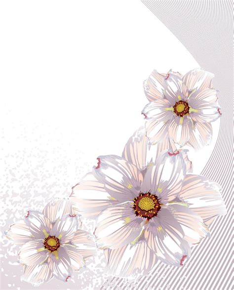 White Floral Design Vector Ai Eps Uidownload