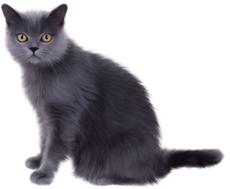 Grey Cat Clipart Gallery Yopriceville High Quality Images And