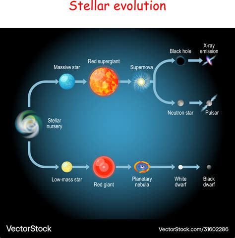 Life Cycle Of A Star Drawing