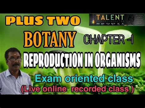 Plus Two Botany Chapter Reproduction In Organism Youtube