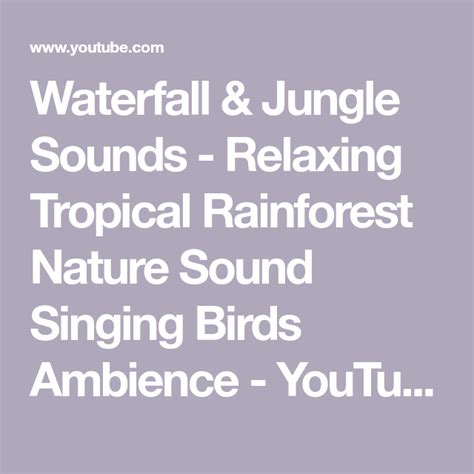 Waterfall And Jungle Sounds Relaxing Tropical Rainforest Nature Sound