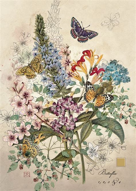 D162 Botanical Butterflies Arte De Insetos Cartões Artísticos