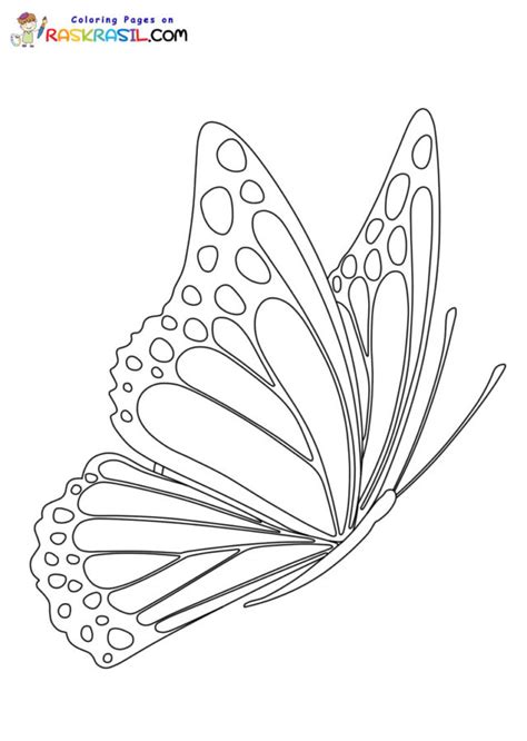 Actualizar más de 71 mariposas dibujar camera edu vn