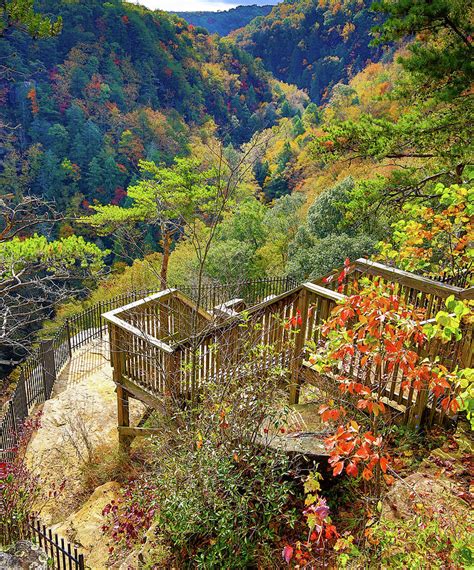 Cloudland Canyon Staircase To Overlook Photograph By James Frazier