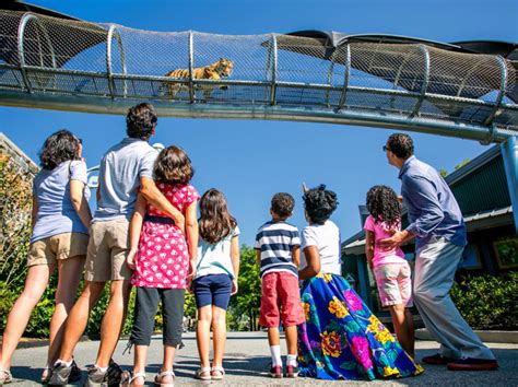 Things To Do For Kids In Nj | Kids Matttroy