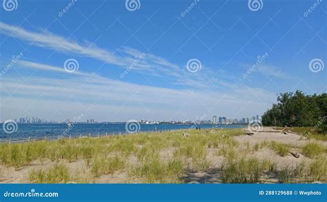 Hanlan S Point Nude Beach View On Toronto Islands Stock Photo Image Of Boardwalk Plant
