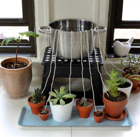 Water Wick Method Diy Self Watering Hack House Of Plants
