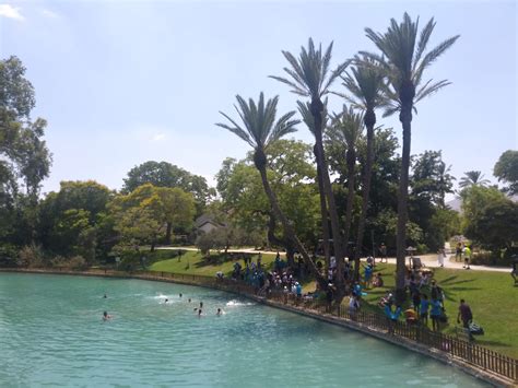 באירוח כפרי קיבוץ ניר דוד צפו בשבוע האחרון 3235 גולשים, ונעשו 50 הזמנות. נזכור את הסאח'נה ולא נוותר על האסי - העוקץ