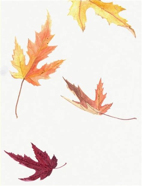 Autumn Leaves Falling Drawing