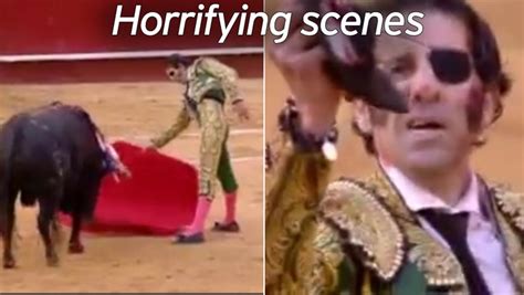 Bull Knocks Out Pirate Matadors Glass Eye Six Years After Losing The