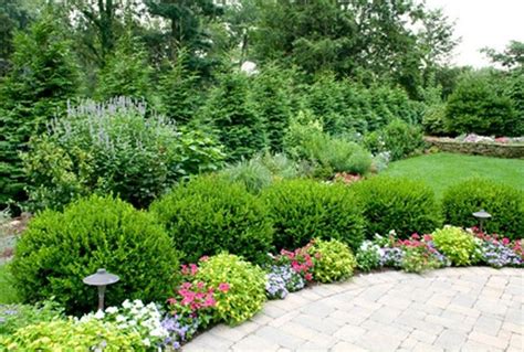 Jcgardendesign Evergreen Garden Design Ideas