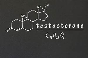 Testosterone Levels By Age Chart Explanation Healthed Academy