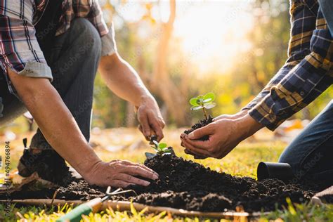 Stockfoto Two Men Planting A Tree Concept Of World Environment Day