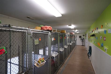 Chattanooga Dog Kennel And Boarding Labby Lane Kennel
