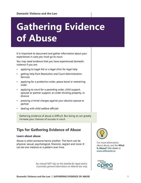 Domestic Violence Gathering Evidence Of Abuse