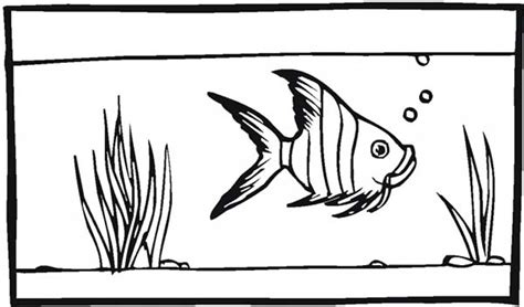 Make a coloring book with fish tank for one click. Fish Tank for Angel Fish Coloring Page - NetArt