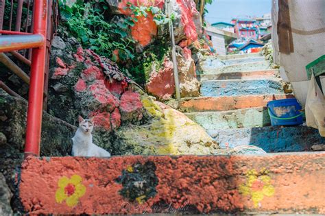 フィリピン・バギオの絶景「valley of colors」の行き方・撮影スポット｜カメライゼ 旅するカメラ