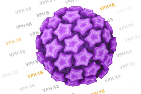 Virus Del Papiloma Humano Vph The Well Project