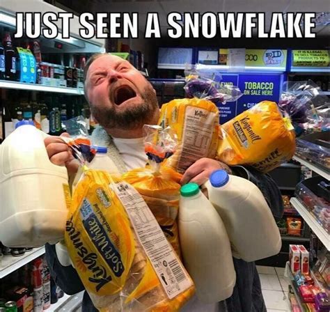 Snow Flakes Snow Meme Snow Humor Troll Winter Humor Winter Qoutes