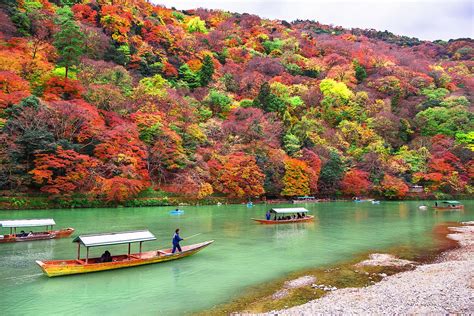 Skip Japans Cherry Blossom Season And Come For The Autumn Maples