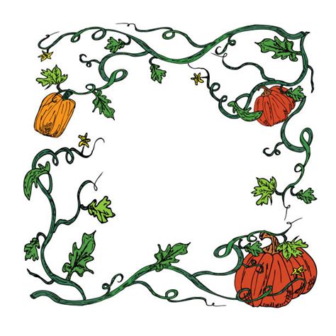 Pumpkin Vine Illustrations Royalty Free Vector Graphics And Clip Art