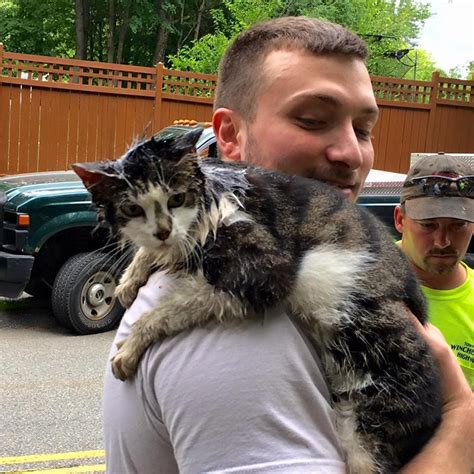 Men Frees Cat That Was Being Strangled By Storm Drain