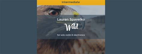 Wild Solo Violin Electronics