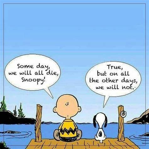 Pin By Somy B On Cartoons Snoopy Quotes Snoopy Words