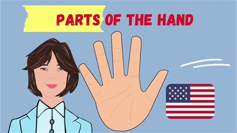 Las Partes De La Mano En Inglés Parts Of The Hand Learn English