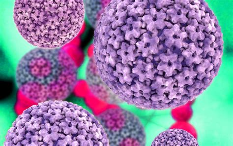 Investigadores Logran Eliminar El Virus Del Papiloma Humano Al 100 En