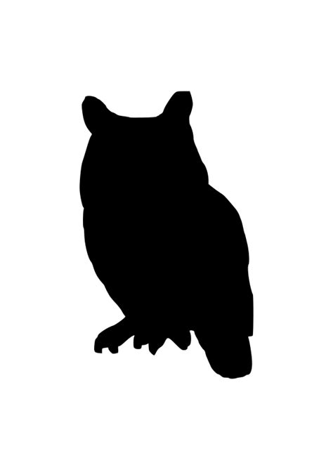 Owl Silhouette Clip Art Owls Vector Png Download 566800 Free