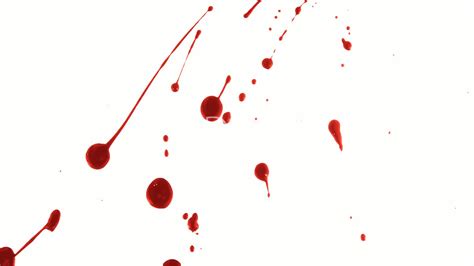 Blood Splatter 2 Royalty Free Video And Stock Footage