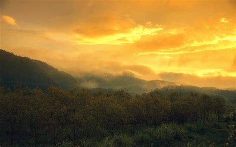 Nature Landscape Sunset Mountain Clouds Trees Sky Yellow Mist