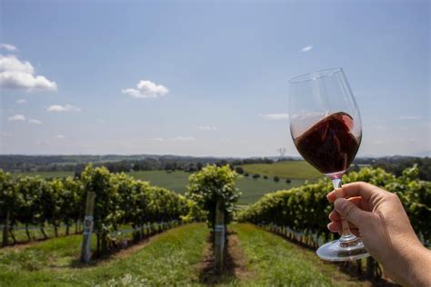 Contact Shenandoah Valley Wine Trail