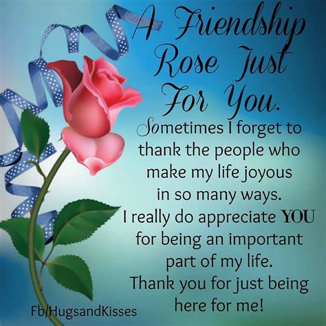 A Friendship Rose Just For You Pictures Photos And Images For