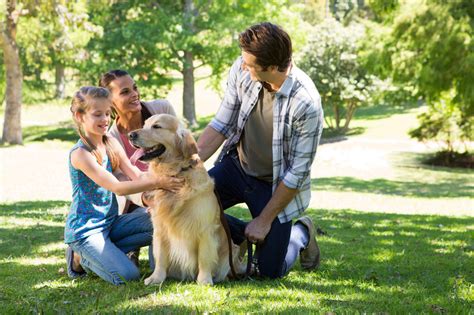 Pets Can Help Their Humans Create Friendships Find Social Support