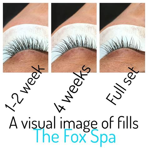 Visual Of Eyelash Extension Lash Fills So Clients Can Better