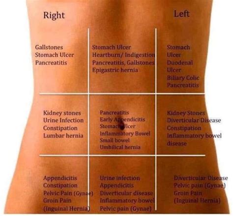 Right and left lumbar trunks, intestinal trunk 2. Causes of stomach pain - FITNESS AND HEALTH