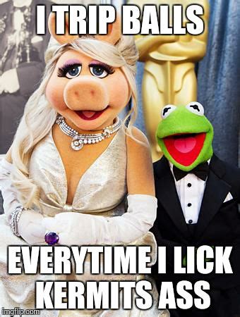 Image Tagged In Miss Piggy Kermit Imgflip