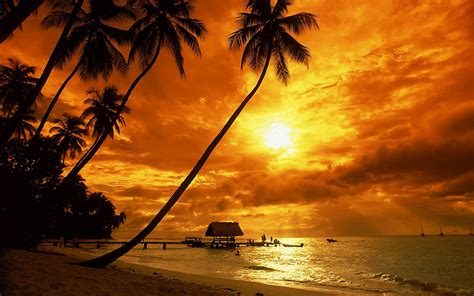 Tropical Beach Sunset Wallpapers Top Free Tropical Beach Sunset Backgrounds Wallpaperaccess