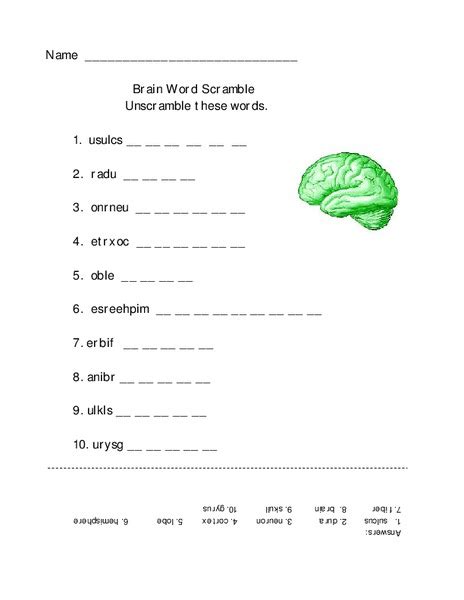 Brain Word Scramble Worksheet For 7th 12th Grade Lesson Planet