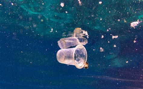 The Deep Ocean Harbors A Mountain Of Microplastic Pollution Flipboard