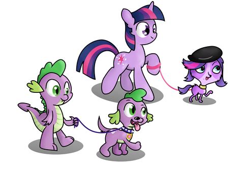 The Perfect Pet My Little Pony Friendship Is Magic Know Your Meme