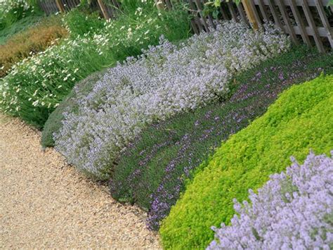 How To Landscape With Groundcover Diy Garden Projects