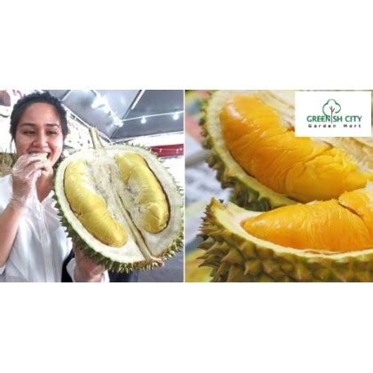Come visit us to learn more about the amazing musang king market. GNC - Home Garden Outdoor Anak Pokok Buah Fruit Tree Plant ...