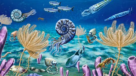 After Earths Worst Mass Extinction Life Rebounded Rapidly Fossils