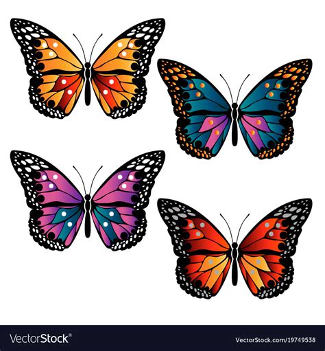 Multicolored Butterflies Set Royalty Free Vector Image