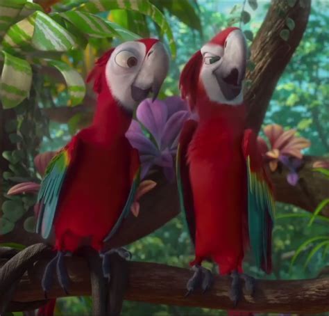 Image Felipe And Scarlet Macawpng Rio Wiki