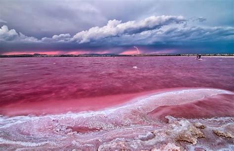 Rare Sight Romantic Pink Lakes Nature Babamail
