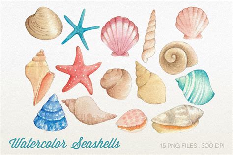 Watercolor Seashells Clipart Illustration Par Peachycottoncandy